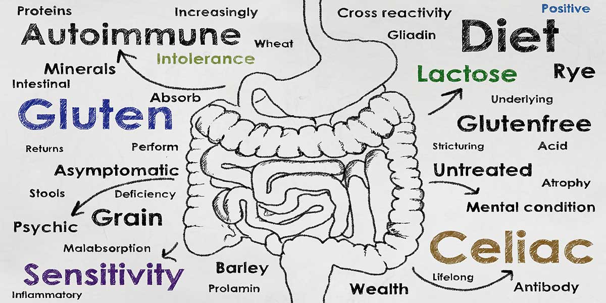 Leaky Gut Syndrome & How To Heal It | Supplements & Vitamins UK