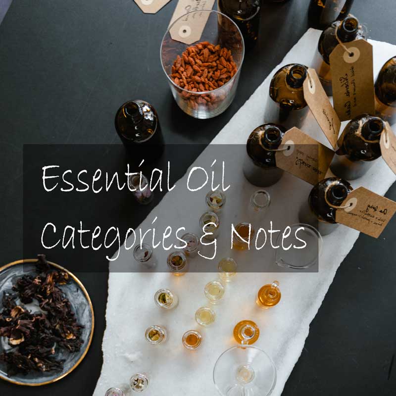 Essential Oil Notes & Categories Explained | Supplements & Vitamins UK