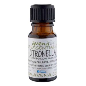 citronella essential oil