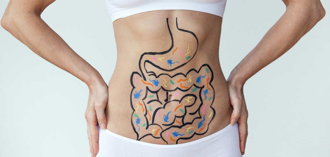 probiotics good gut bacteria