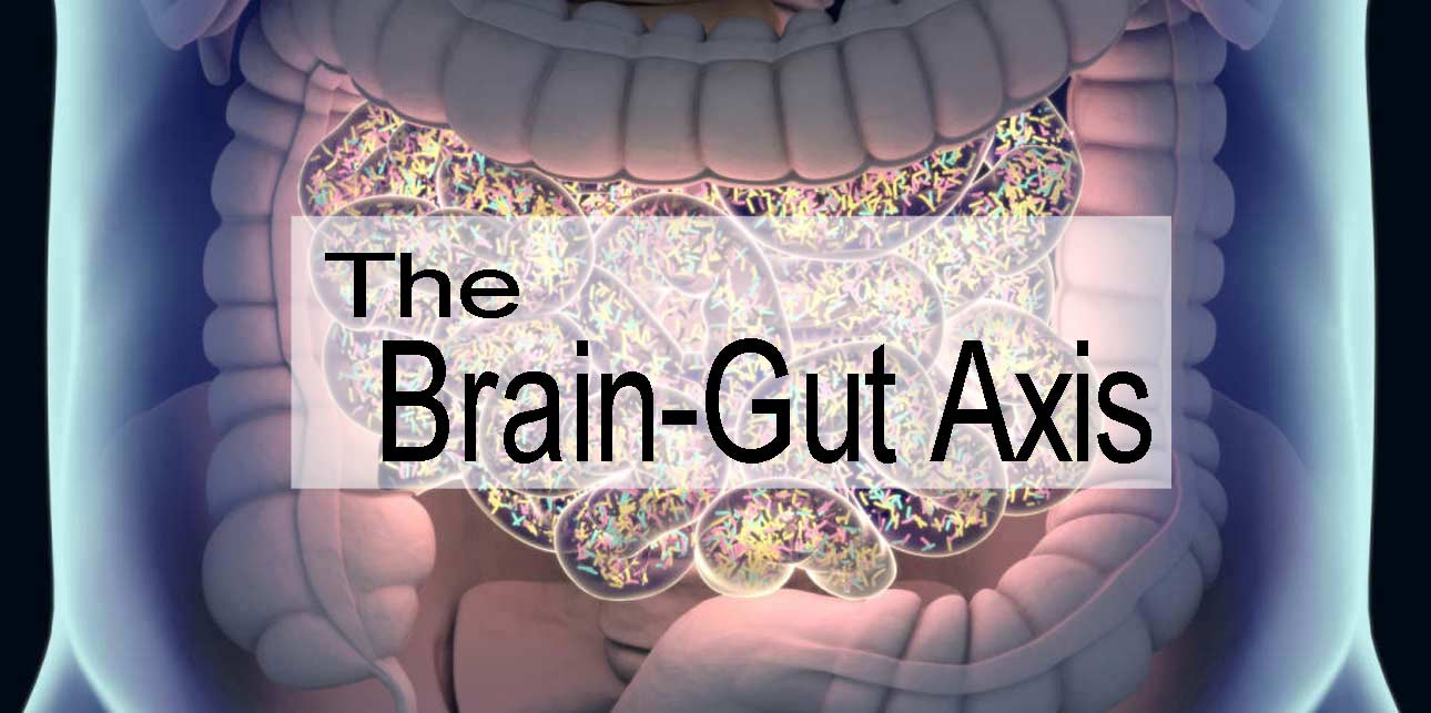 the brain gut axis healthy gut microbiome